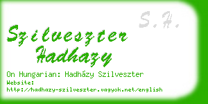 szilveszter hadhazy business card